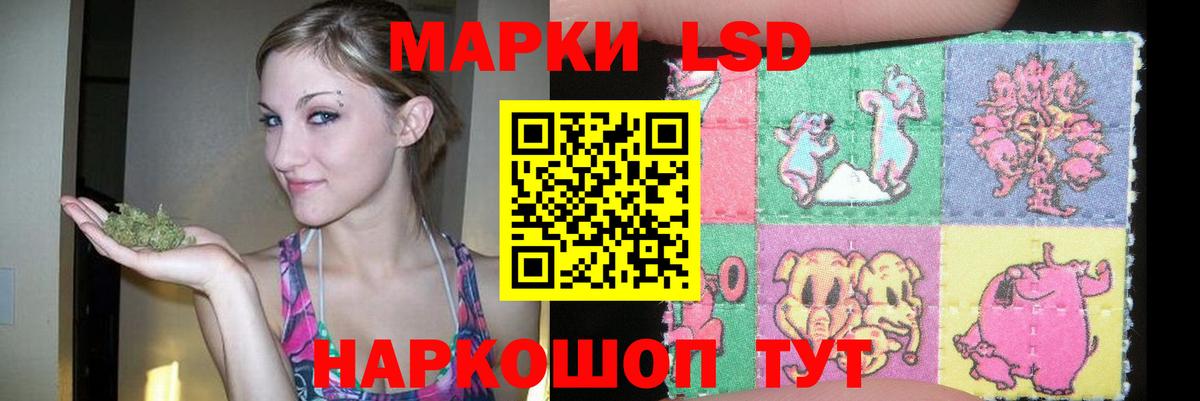 Канаш  ЛСД экстази ecstasy  Лсд 25 экстази кислота  Вход с VPN 