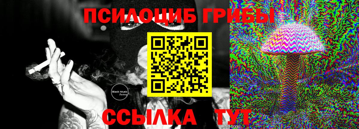 Галлюциногенные грибы прущие грибы  Псилоцибиновые грибы MAGIC MUSHROOMS  Вход с VPN  Канаш 